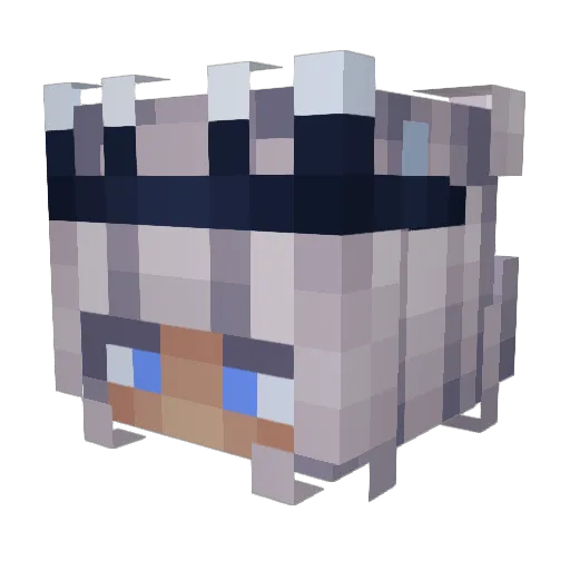 N4chtWind Minecraft avatar head, 3D render