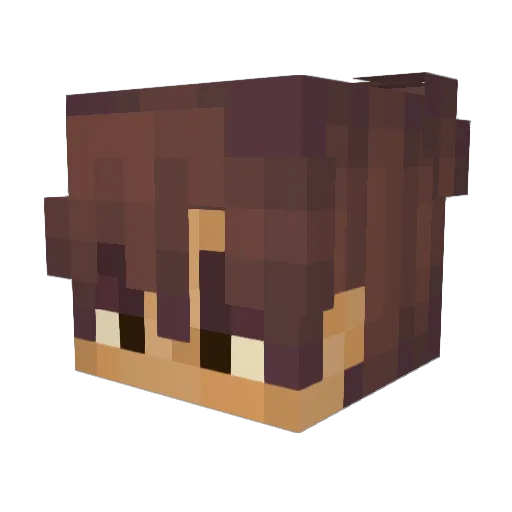 N4fri Minecraft avatar head, 3D render