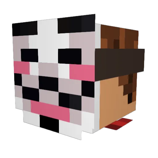 N4if_B Minecraft avatar head, 3D render