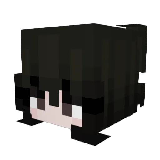 N4nam1_ Minecraft avatar head, 3D render