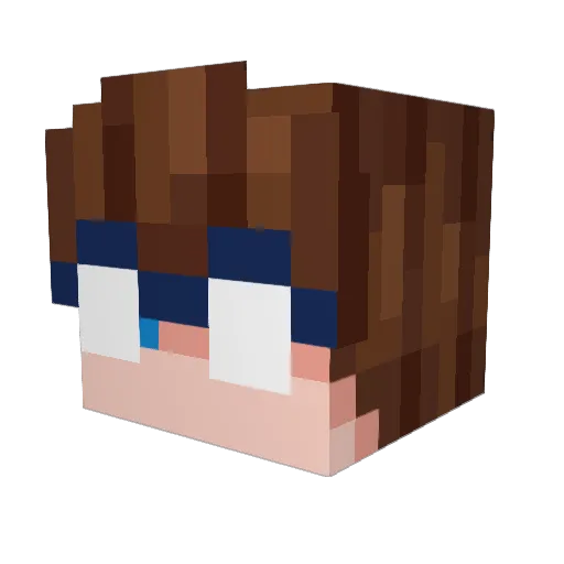 N4ni_Danial Minecraft avatar head, 3D render