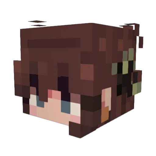 N4tV2 Minecraft avatar head, 3D render