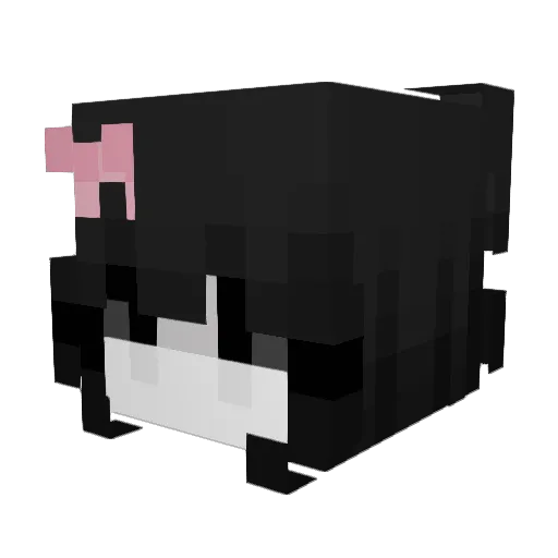N4tk4_ Minecraft avatar head, 3D render