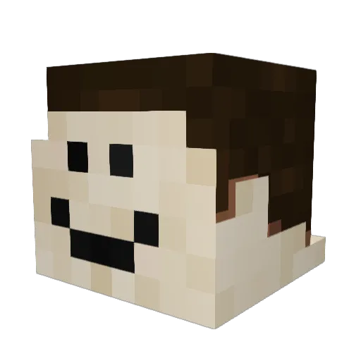 N4wafy Minecraft avatar head, 3D render