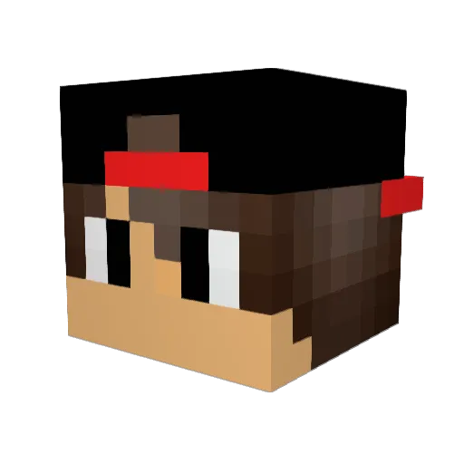 N4was Minecraft avatar head, 3D render