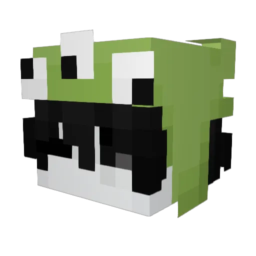 N4xoo Minecraft avatar head, 3D render