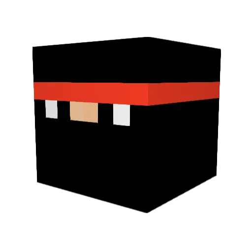 N5G Minecraft avatar head, 3D render