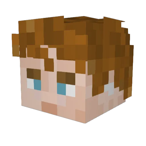 N5LNG Minecraft avatar head, 3D render