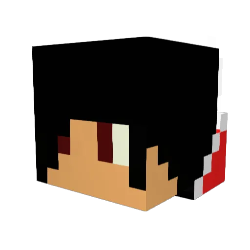 N69S Minecraft avatar head, 3D render