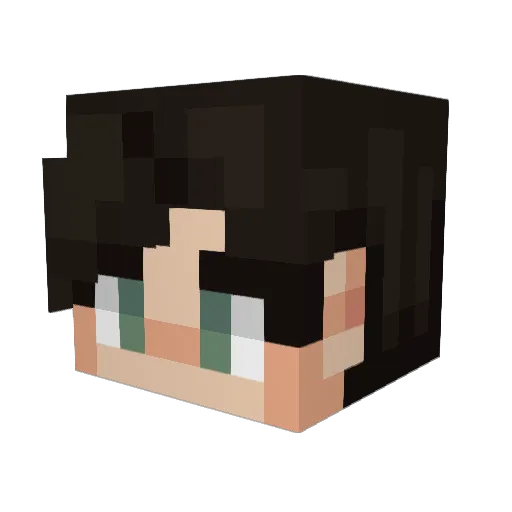 N71I Minecraft avatar head, 3D render
