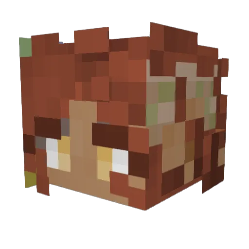 N7Brooke Minecraft avatar head, 3D render