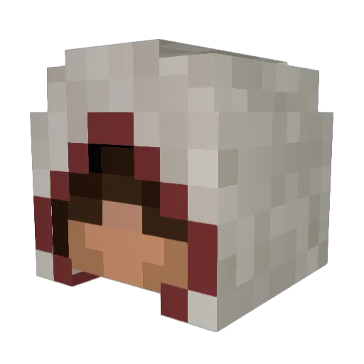 N7Neeman Minecraft avatar head, 3D render