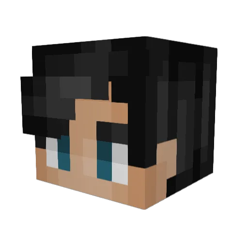 N7_GAMER Minecraft avatar head, 3D render