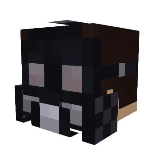 N7r1 Minecraft avatar head, 3D render