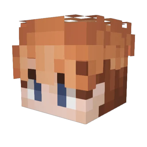 N8THN_ Minecraft avatar head, 3D render