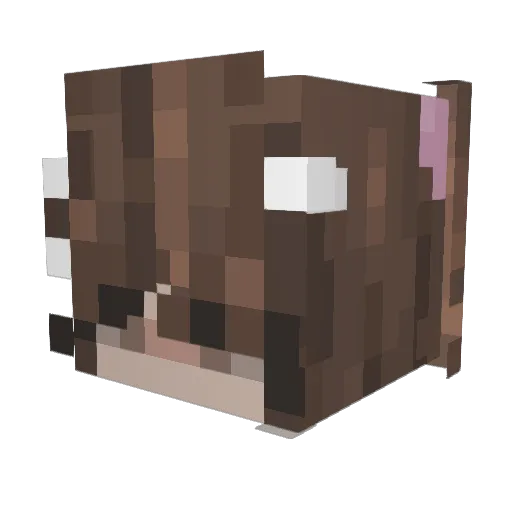 N8rkdm Minecraft avatar head, 3D render