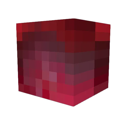 N8tSeegers Minecraft avatar head, 3D render