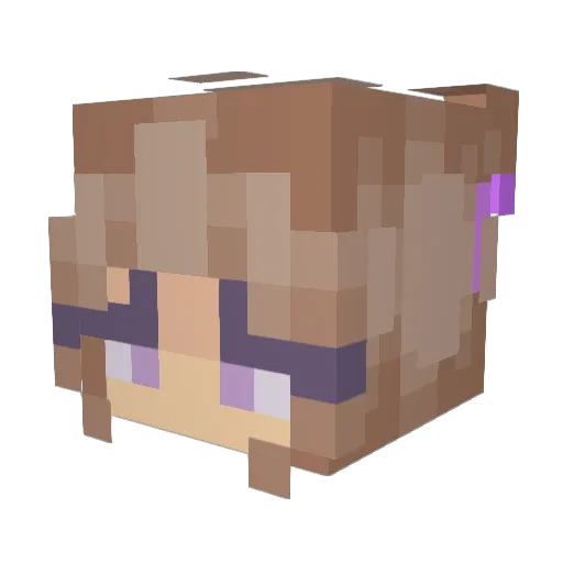 N9ners Minecraft avatar head, 3D render