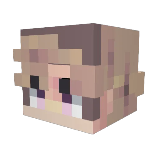 N9or Minecraft avatar head, 3D render