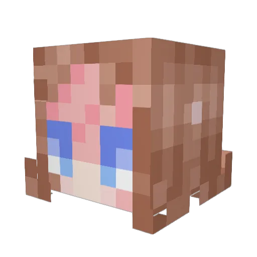 NADP42 Minecraft avatar head, 3D render
