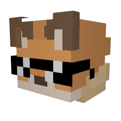 NAG0_ Minecraft avatar head, 3D render