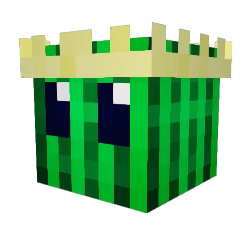NAGA35000 Minecraft avatar head, 3D render