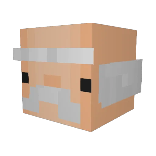 NAGUF Minecraft avatar head, 3D render