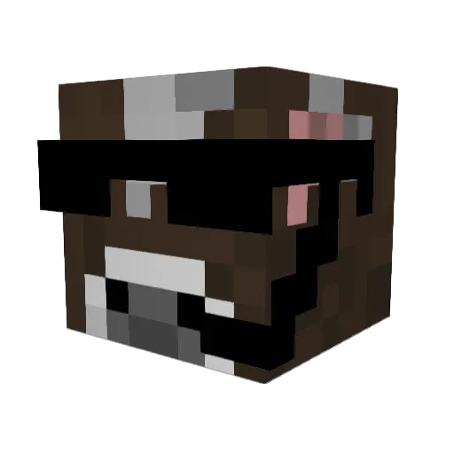 NAITIFT Minecraft avatar head, 3D render
