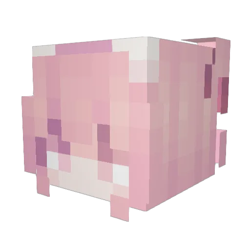 NAMELess_abab Minecraft avatar head, 3D render