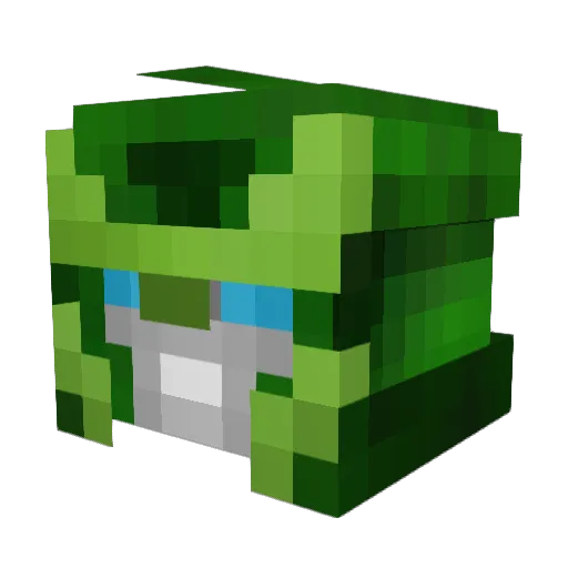 NAME_CHOSEN Minecraft avatar head, 3D render
