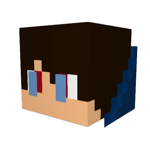 NAME_Master Minecraft avatar head, 3D render