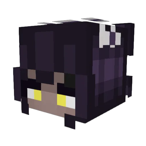 NANI3198 Minecraft avatar head, 3D render