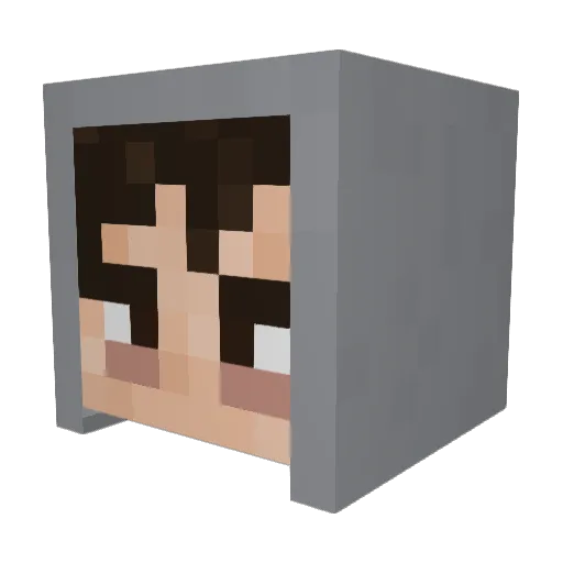 NANIDEVERDADE Minecraft avatar head, 3D render