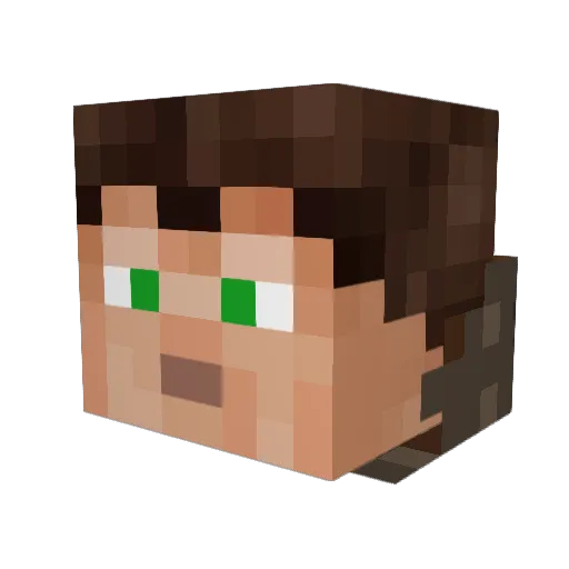 NAO100 Minecraft avatar head, 3D render