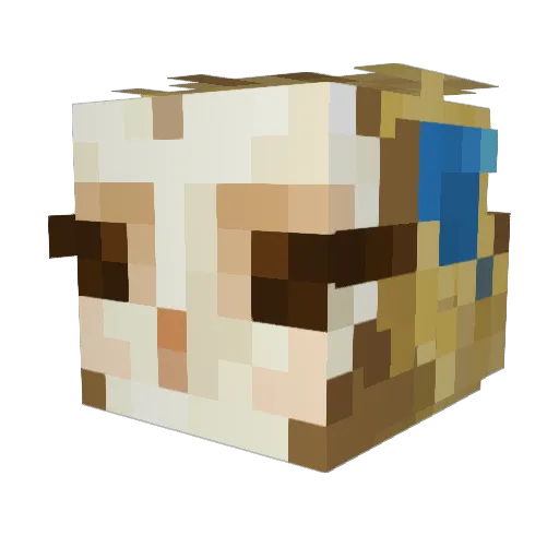 NAPUNI Minecraft avatar head, 3D render