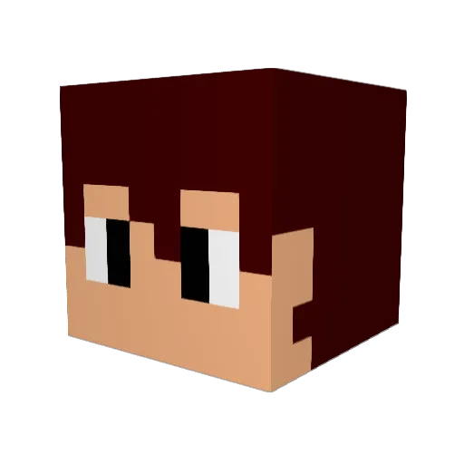 NARCROW Minecraft avatar head, 3D render