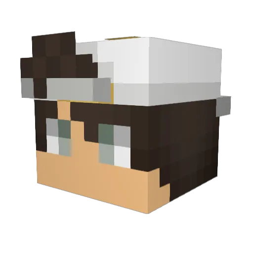 NARD1_ Minecraft avatar head, 3D render