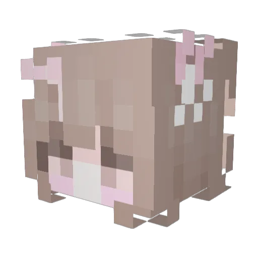 NARLIAR Minecraft avatar head, 3D render