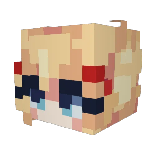 NARWHAL_JOCKEY Minecraft avatar head, 3D render
