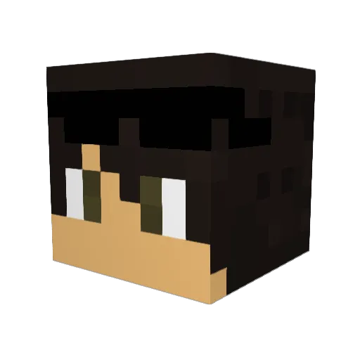 NAS90 Minecraft avatar head, 3D render