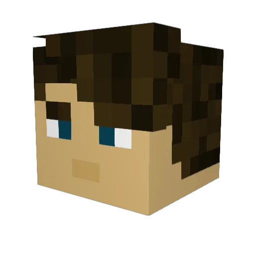 NASA_Out3rSpac3 Minecraft avatar head, 3D render