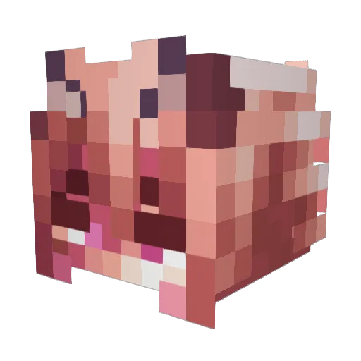 NASAcat3 Minecraft avatar head, 3D render