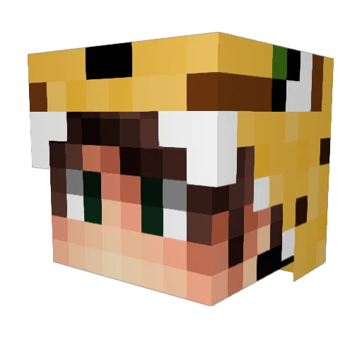 NASAlol64 Minecraft avatar head, 3D render