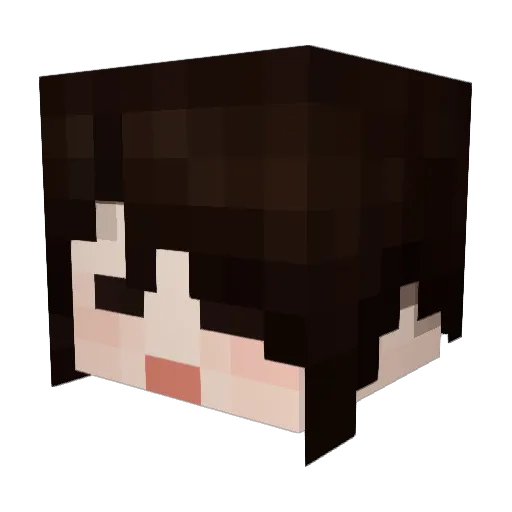 NASTlX Minecraft avatar head, 3D render