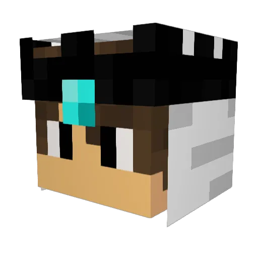 NATFRAN Minecraft avatar head, 3D render
