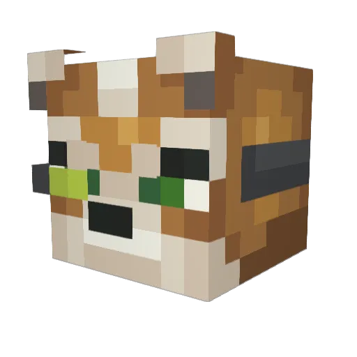 NATHANISBAE Minecraft avatar head, 3D render