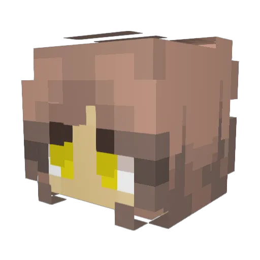NATSGAMEPLAYZ Minecraft avatar head, 3D render