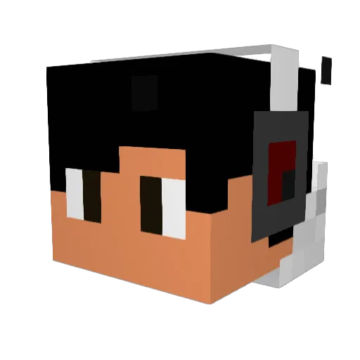 NAVI214 Minecraft avatar head, 3D render