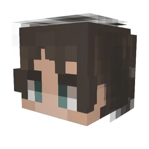 NAVYHAWKS Minecraft avatar head, 3D render