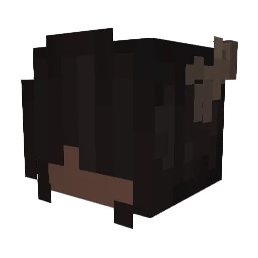 NAYANA_1 Minecraft avatar head, 3D render